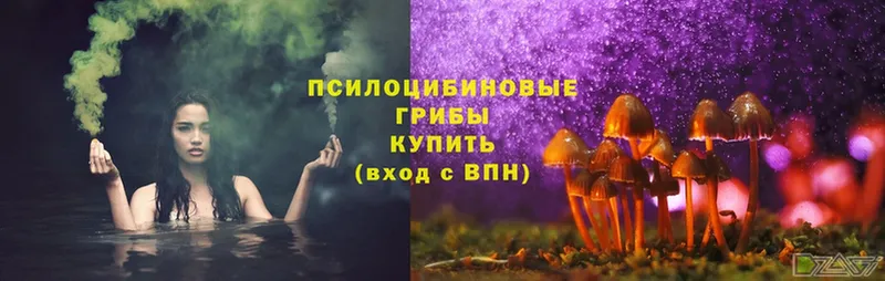 Галлюциногенные грибы Magic Shrooms Алупка